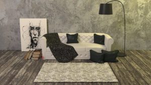 sofa and Carpet 
