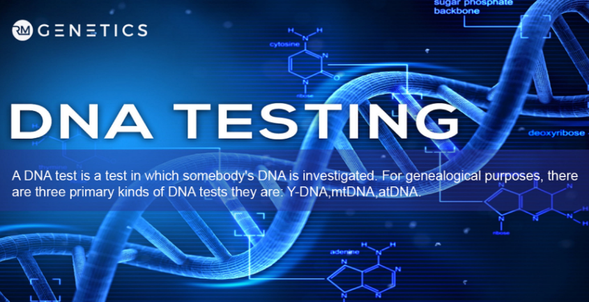 dna testing